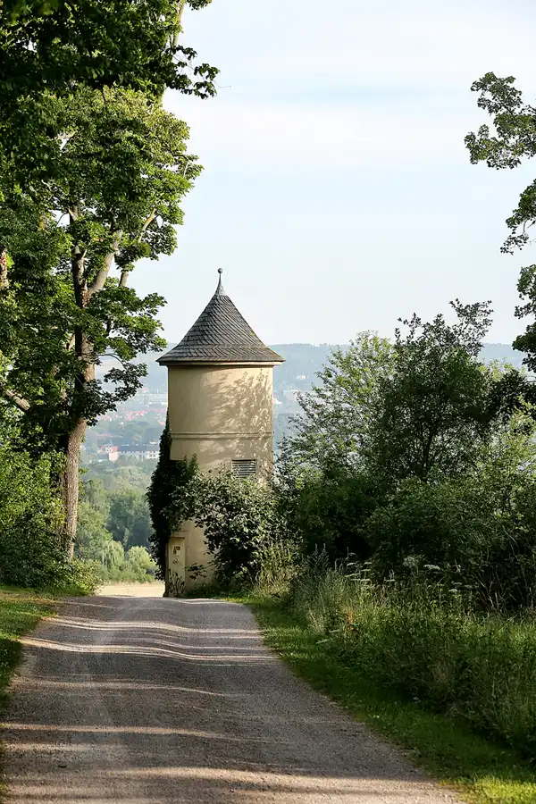 020 | 2021 | Weimar | Schlosspark Belvedere | © carsten riede fotografie