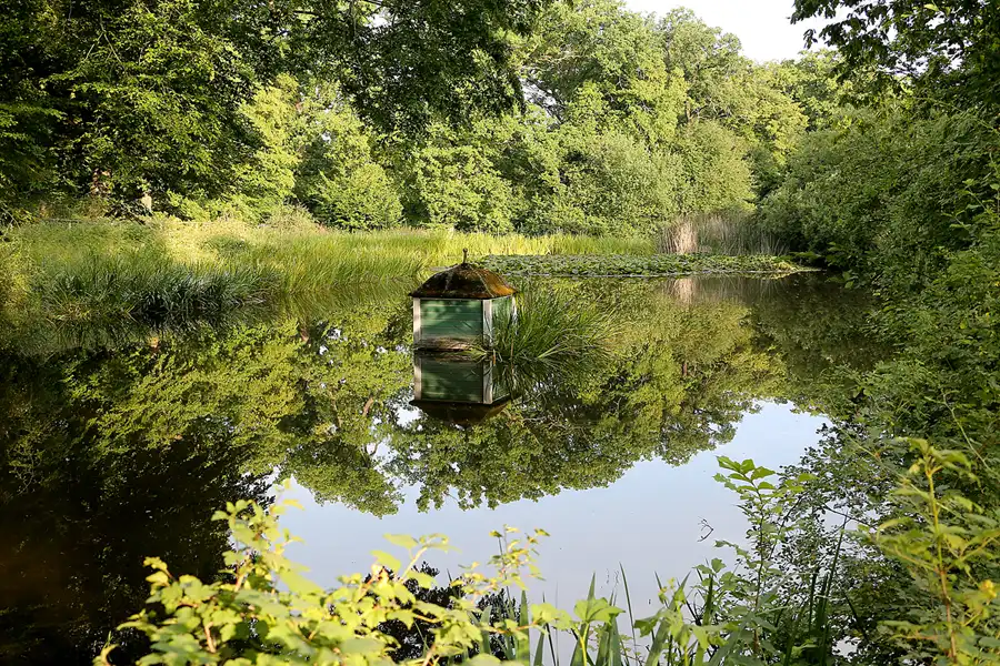 021 | 2021 | Weimar | Schlosspark Belvedere | © carsten riede fotografie