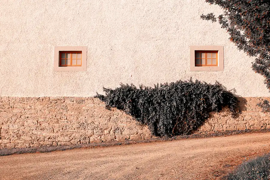 023 | 2021 | Weimar | Schlosspark Belvedere | © carsten riede fotografie