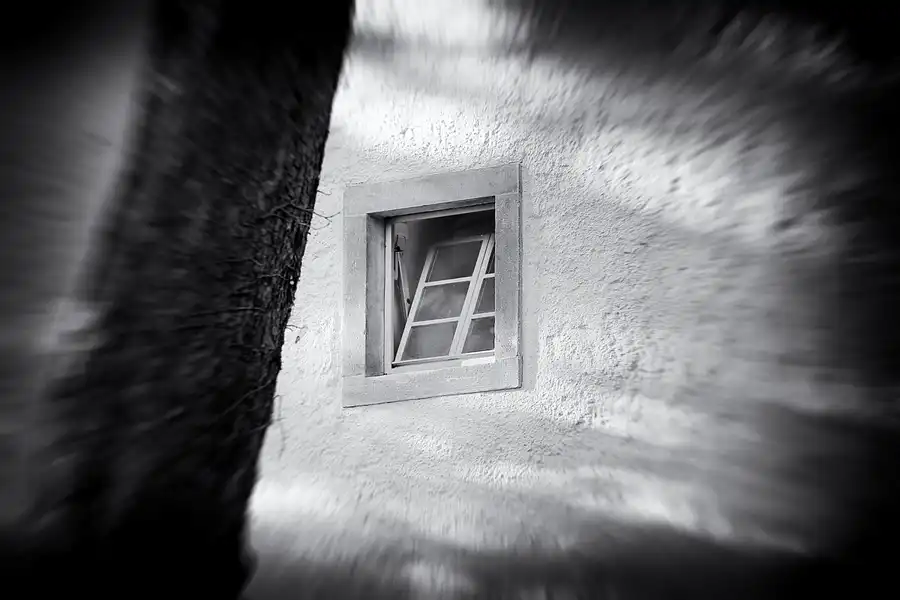 024 | 2021 | Weimar | Schlosspark Belvedere | © carsten riede fotografie