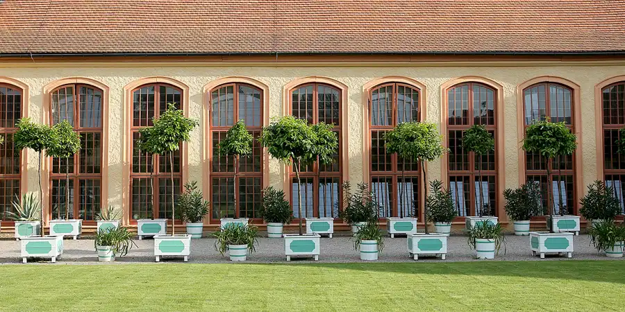 027 | 2021 | Weimar | Schlosspark Belvedere | © carsten riede fotografie