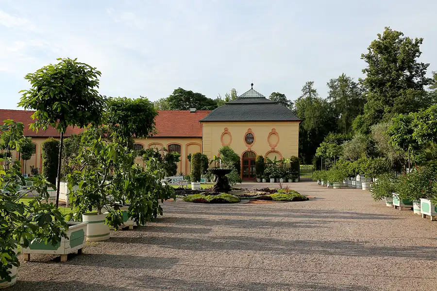 028 | 2021 | Weimar | Schlosspark Belvedere | © carsten riede fotografie