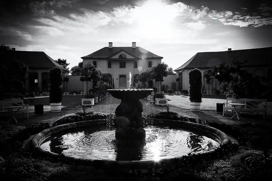 031 | 2021 | Weimar | Schlosspark Belvedere | © carsten riede fotografie