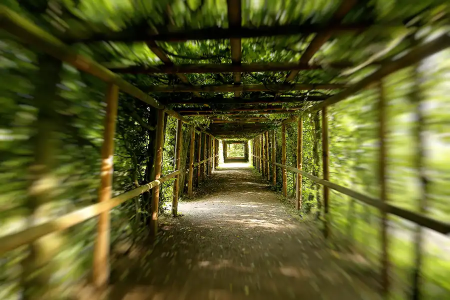 036 | 2021 | Weimar | Schlosspark Belvedere | © carsten riede fotografie