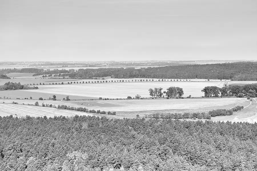 018 | 2021 | Blankenburg (Harz) | Blick von der Burg und Festung Regenstein | © carsten riede fotografie