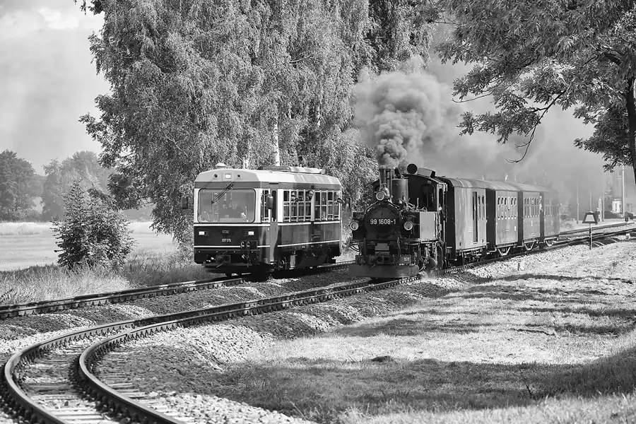045 | 2021 | Mügeln OT Nebitzschen | Döllnitzbahn | © carsten riede fotografie
