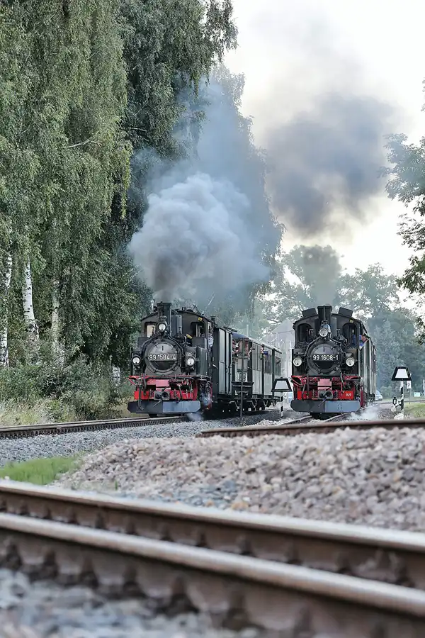 078 | 2021 | Mügeln OT Nebitzschen | Döllnitzbahn | © carsten riede fotografie
