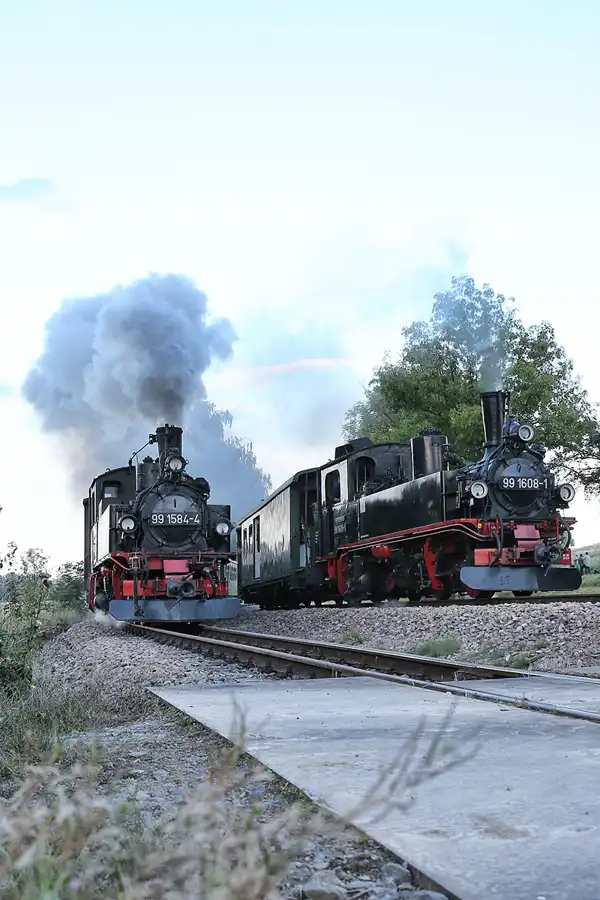 081 | 2021 | Mügeln OT Nebitzschen | Döllnitzbahn | © carsten riede fotografie