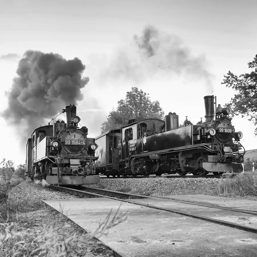 082 | 2021 | Mügeln OT Nebitzschen | Döllnitzbahn | © carsten riede fotografie
