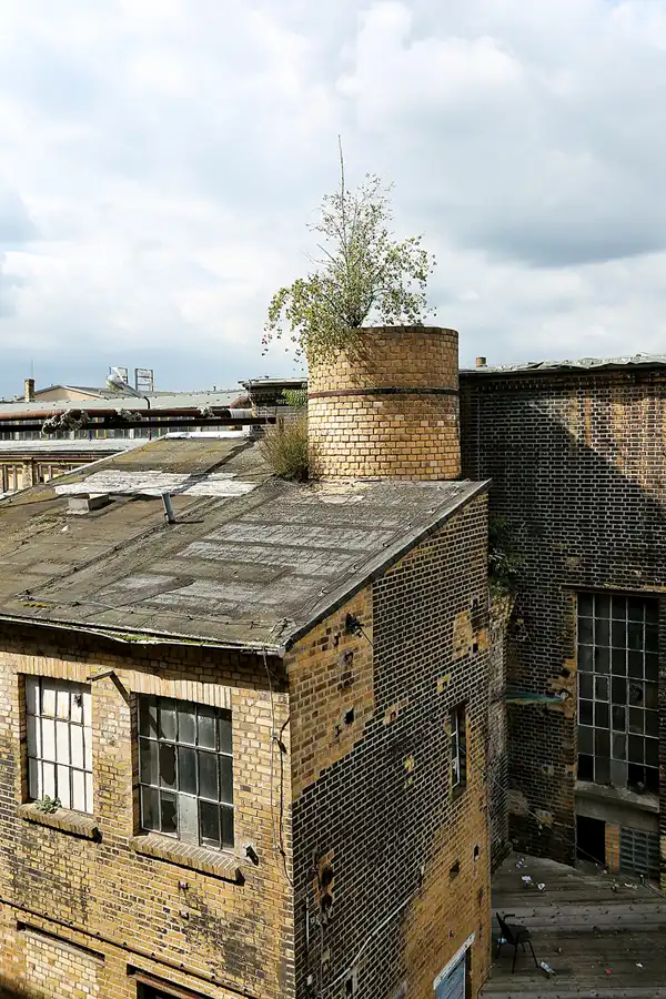 087 | 2021 | VEB Drehmaschinenwerk Leipzig – Wilhelm von Pittler AG | © carsten riede fotografie
