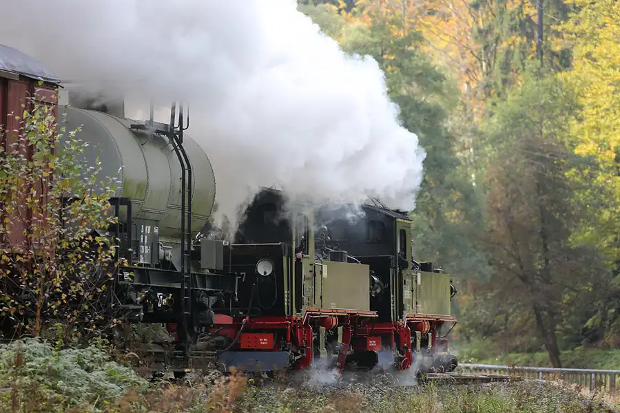 045 | 2021 | Steinbach bei Jöhstadt | Pressnitztalbahn | © carsten riede fotografie
