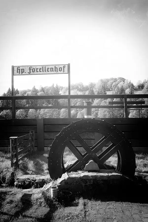 048 | 2021 | Forellenhof | Haltepunkt – Pressnitztalbahn | © carsten riede fotografie