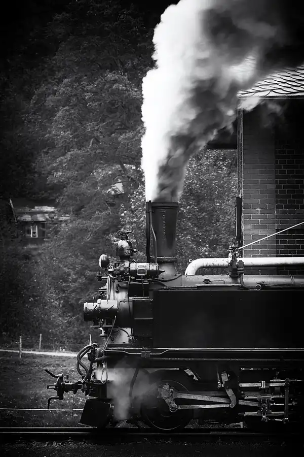 119 | 2021 | Steinbach bei Jöhstadt | Bahnhof – Pressnitztalbahn | © carsten riede fotografie