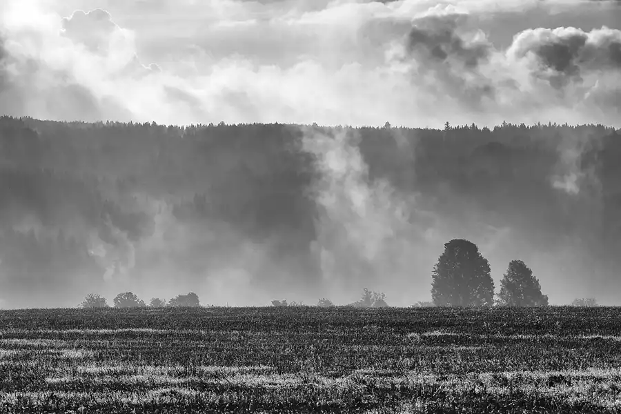 149 | 2021 | Jöhstadt | © carsten riede fotografie