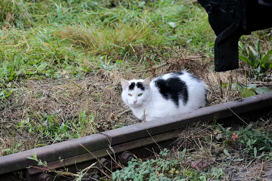 009 | 2021 | Luzna u Rakovnika (Luschka) | Muzeum Ceskych drah | © carsten riede fotografie