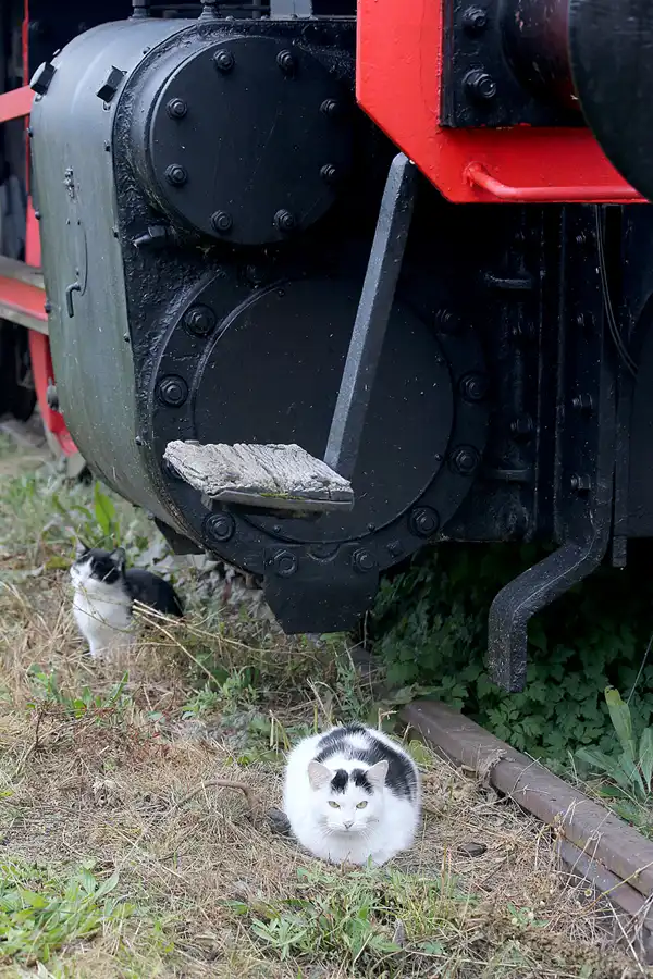 010 | 2021 | Luzna u Rakovnika (Luschka) | Muzeum Ceskych drah | © carsten riede fotografie