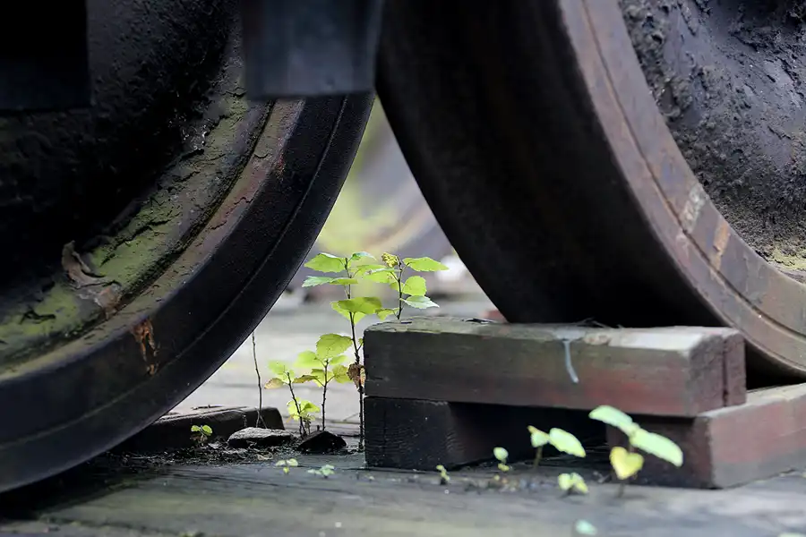 026 | 2021 | Luzna u Rakovnika (Luschka) | Muzeum Ceskych drah | © carsten riede fotografie