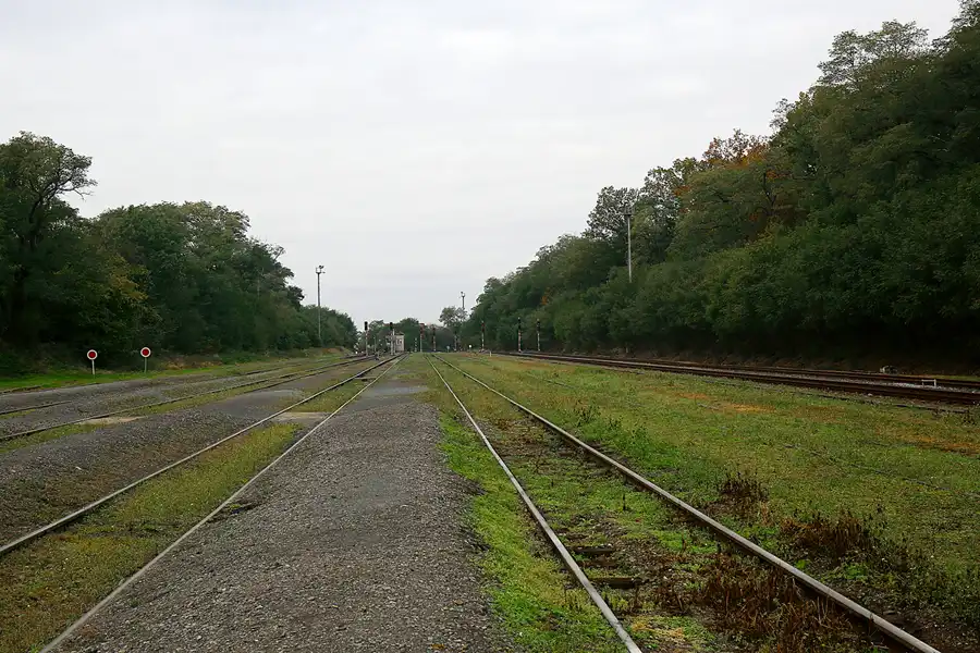 100 | 2021 | Luzna u Rakovnika (Luschka) | © carsten riede fotografie