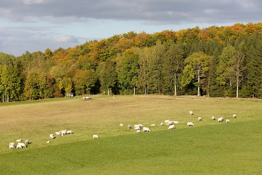 008 | 2021 | Cranzahl | © carsten riede fotografie