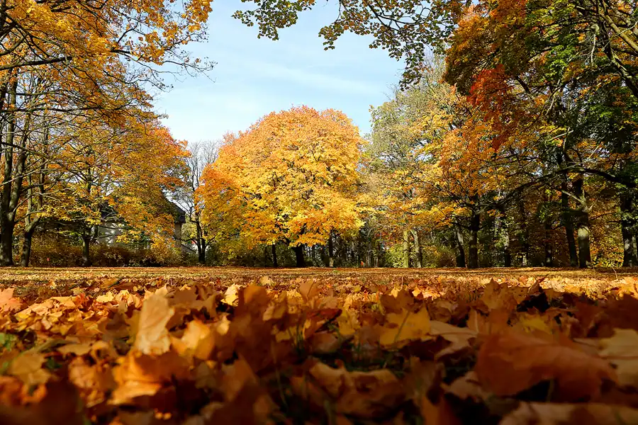016 | 2021 | Berlin | Obersee-Orankesee-Park | © carsten riede fotografie