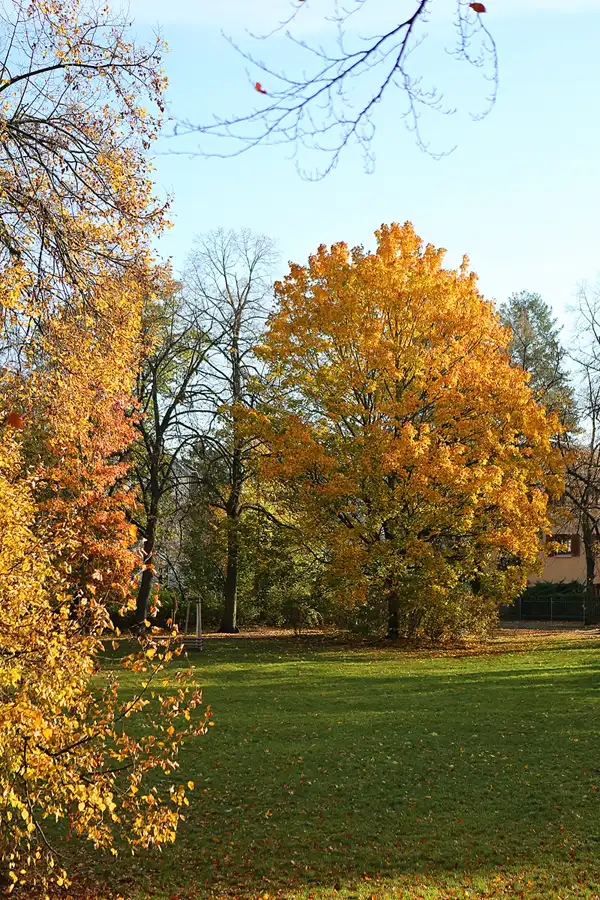 023 | 2021 | Berlin | Obersee-Orankesee-Park | © carsten riede fotografie