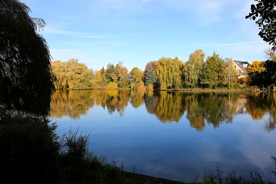 025 | 2021 | Berlin | Obersee-Orankesee-Park | © carsten riede fotografie