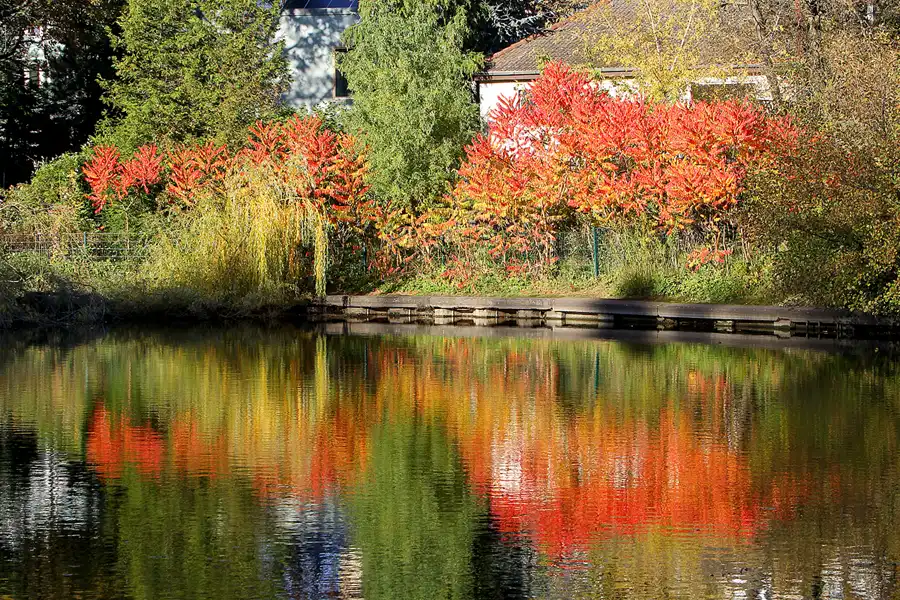 030 | 2021 | Berlin | Obersee-Orankesee-Park | © carsten riede fotografie