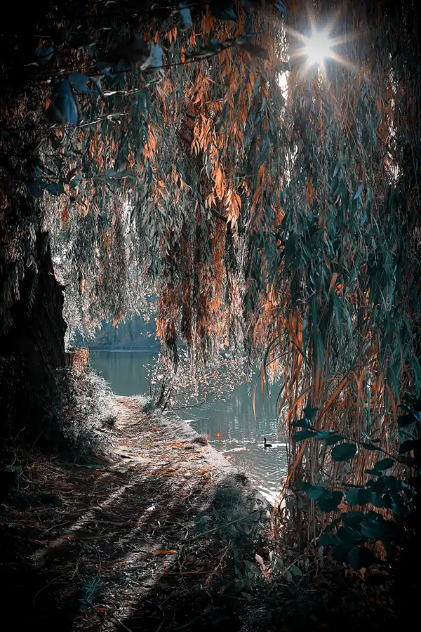 040 | 2021 | Berlin | Obersee-Orankesee-Park | © carsten riede fotografie