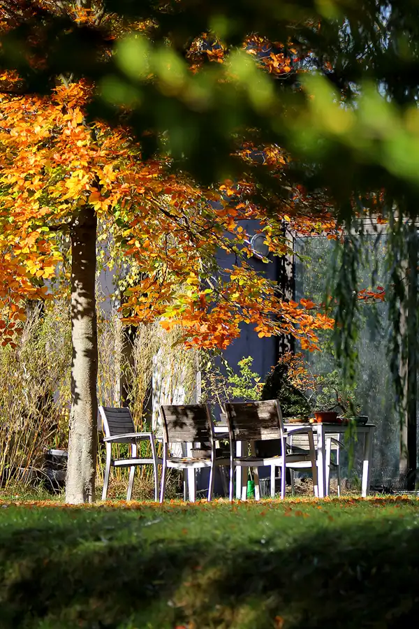 041 | 2021 | Berlin | Obersee-Orankesee-Park | © carsten riede fotografie
