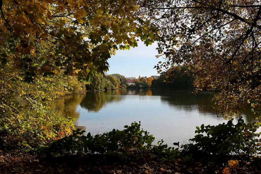 049 | 2021 | Berlin | Obersee-Orankesee-Park | © carsten riede fotografie