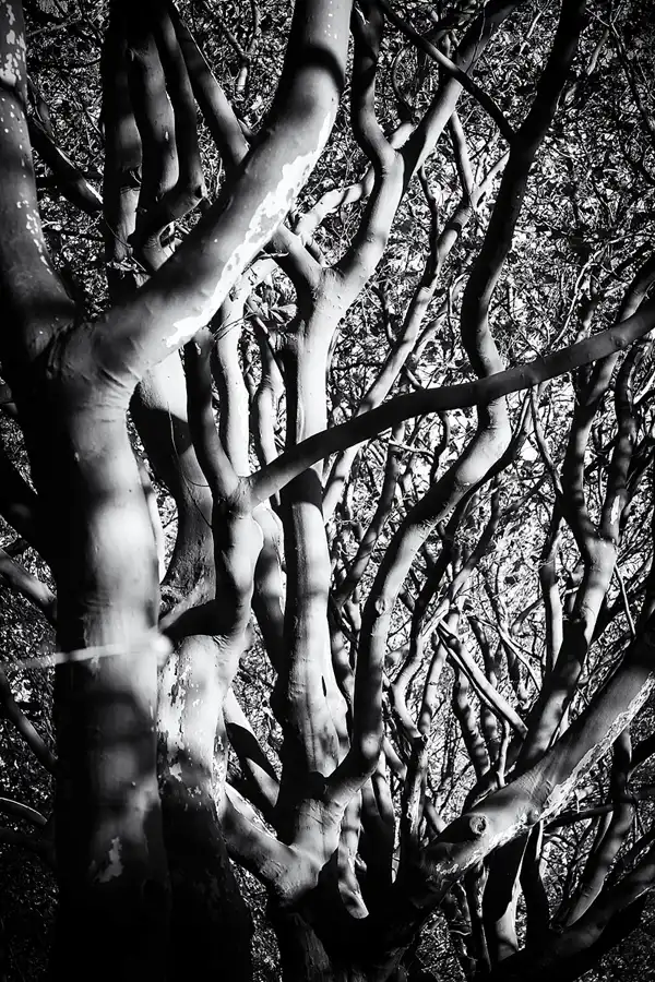 056 | 2021 | Berlin | Obersee-Orankesee-Park | © carsten riede fotografie