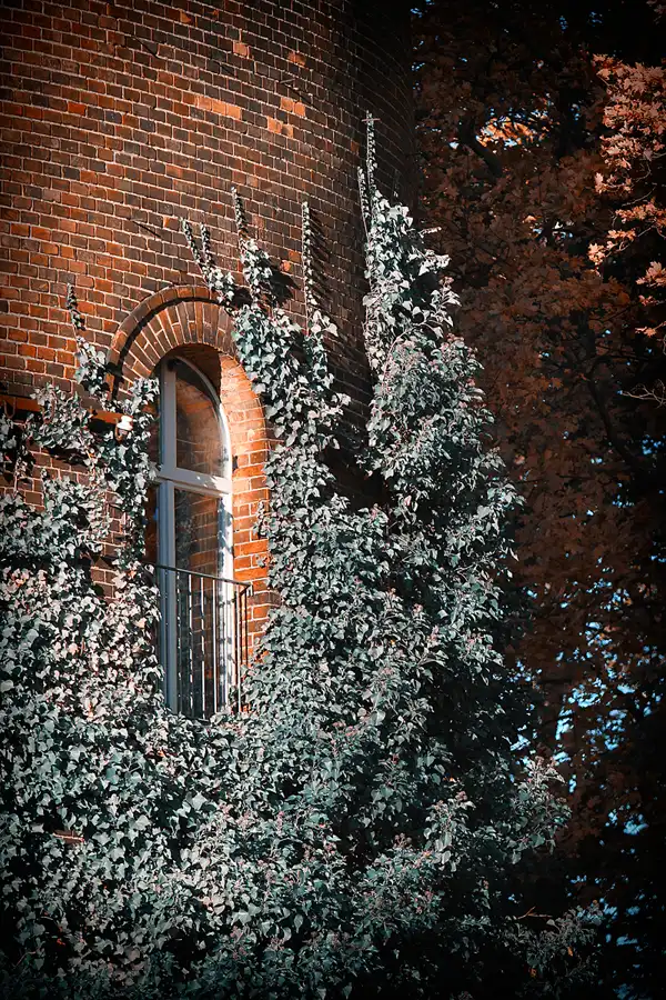 057 | 2021 | Berlin | Obersee-Orankesee-Park | © carsten riede fotografie