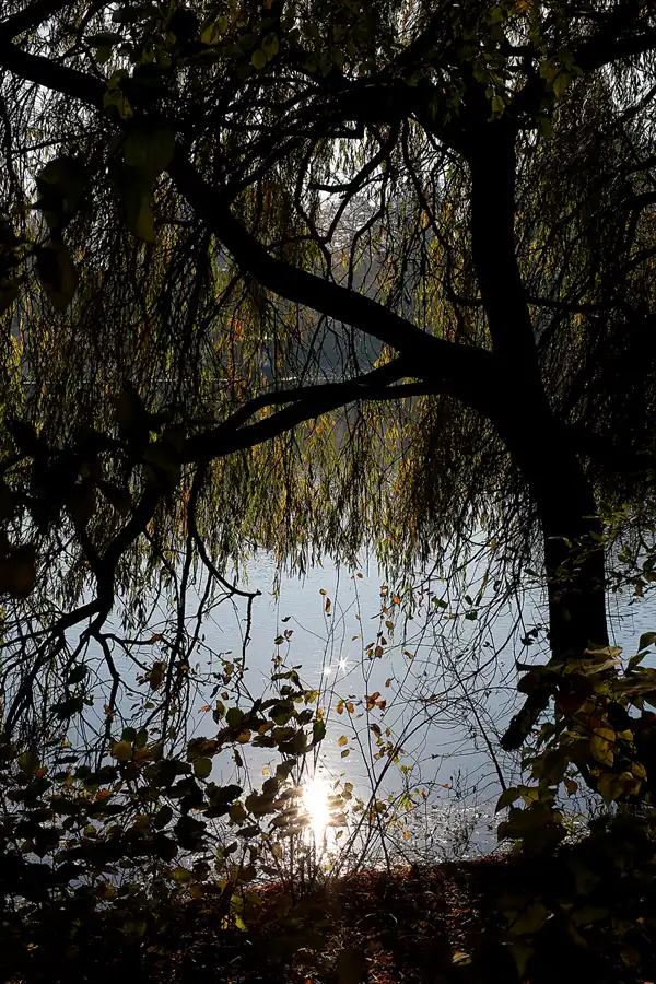 063 | 2021 | Berlin | Obersee-Orankesee-Park | © carsten riede fotografie