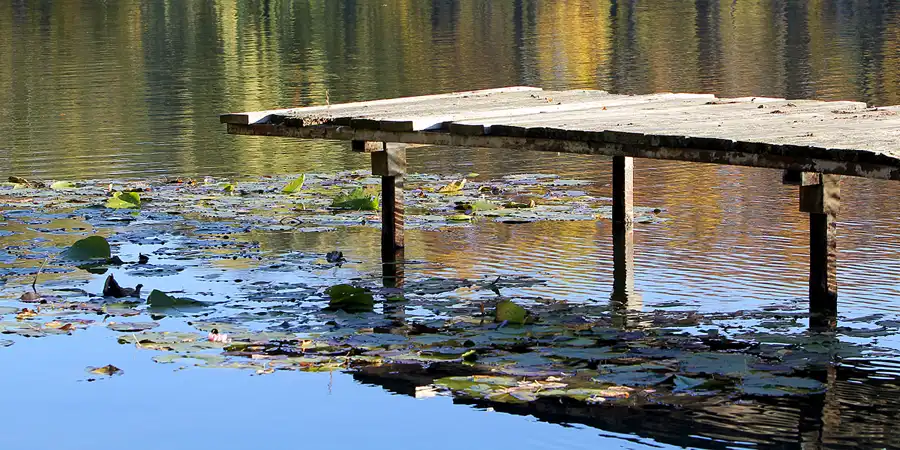 064 | 2021 | Berlin | Obersee-Orankesee-Park | © carsten riede fotografie