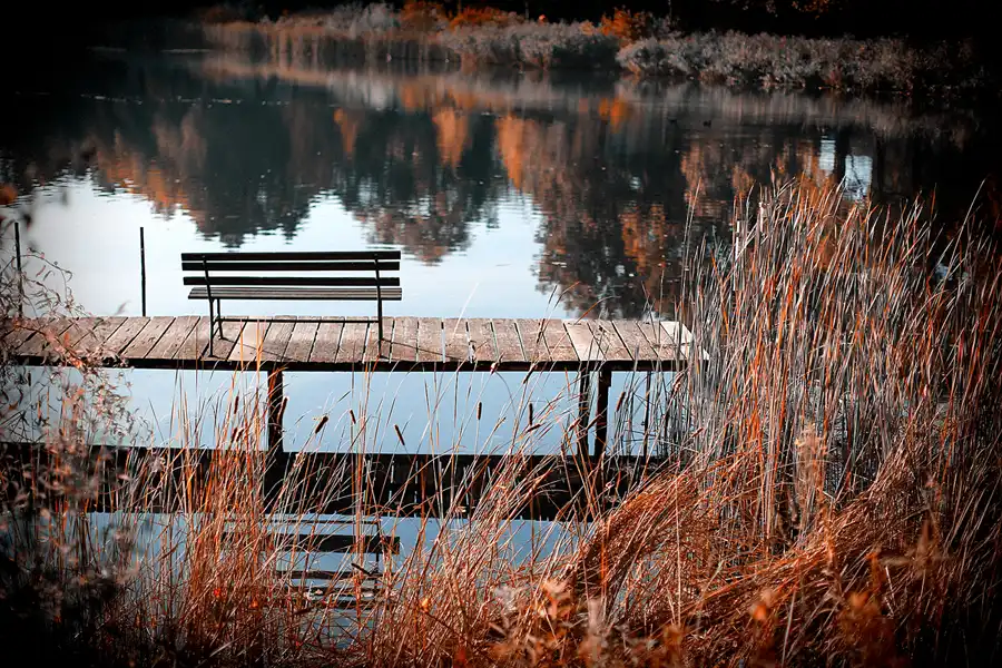 066 | 2021 | Berlin | Obersee-Orankesee-Park | © carsten riede fotografie