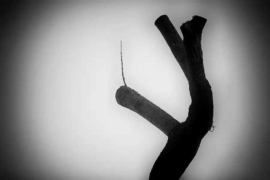 068 | 2021 | Berlin | Obersee-Orankesee-Park | © carsten riede fotografie