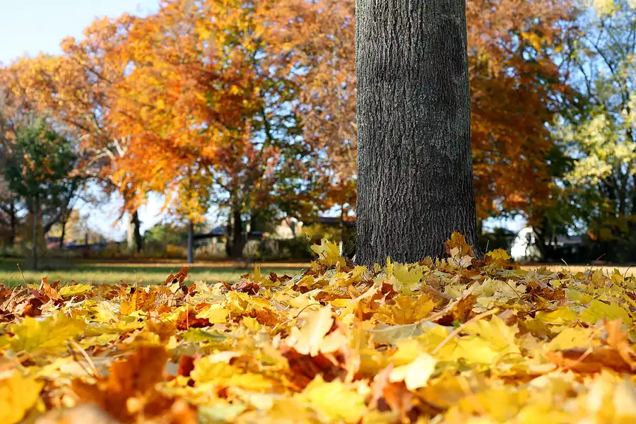 072 | 2021 | Berlin | Buschallee | © carsten riede fotografie