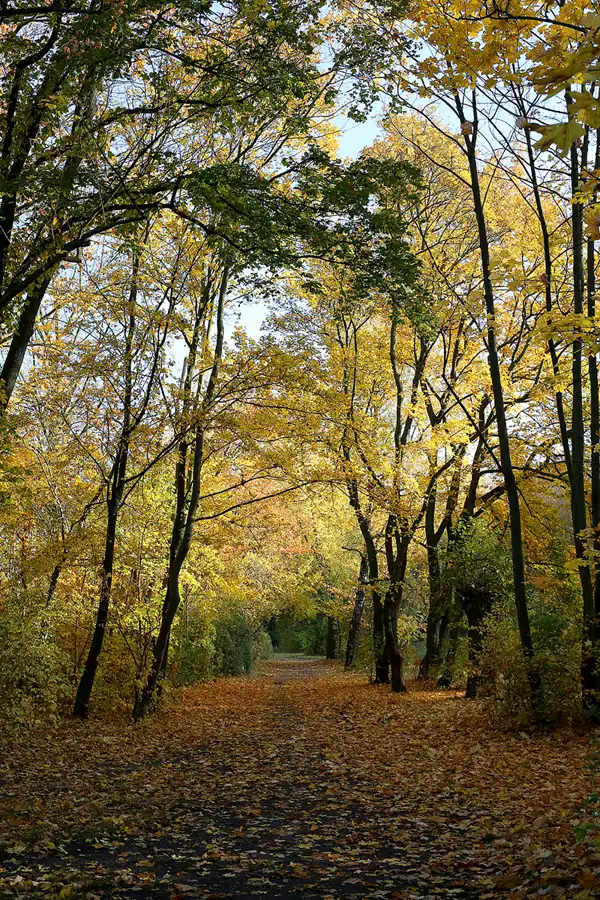 073 | 2021 | Berlin | Rund um das NSG Fauler See | © carsten riede fotografie