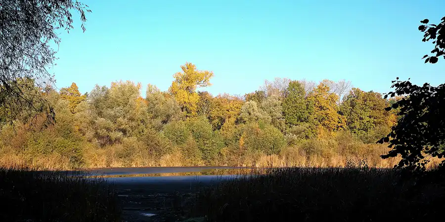 074 | 2021 | Berlin | Rund um das NSG Fauler See | © carsten riede fotografie