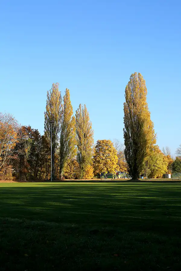 075 | 2021 | Berlin | Rund um das NSG Fauler See | © carsten riede fotografie