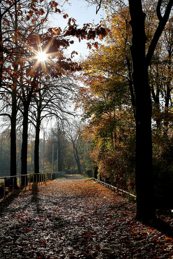 080 | 2021 | Berlin | Rund um das NSG Fauler See | © carsten riede fotografie