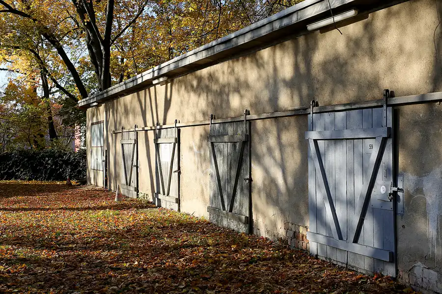 081 | 2021 | Berlin | Rund um das NSG Fauler See | © carsten riede fotografie