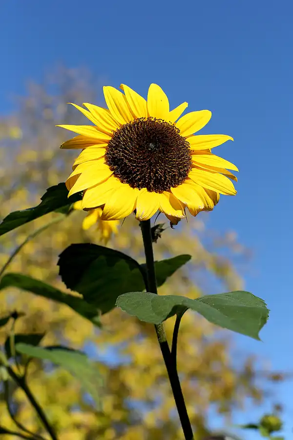 082 | 2021 | Berlin | Roedernstrasse | © carsten riede fotografie