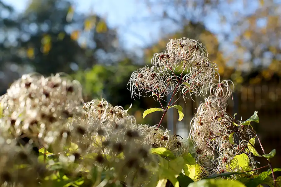 083 | 2021 | Berlin | Roedernstrasse | © carsten riede fotografie