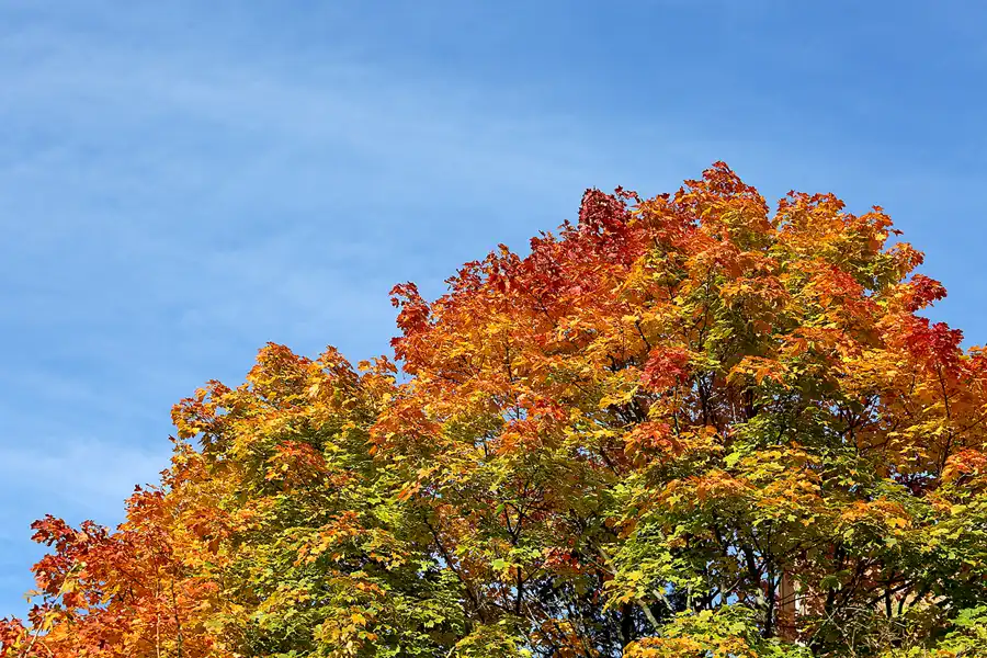 087 | 2021 | Berlin | Degnerstrasse | © carsten riede fotografie