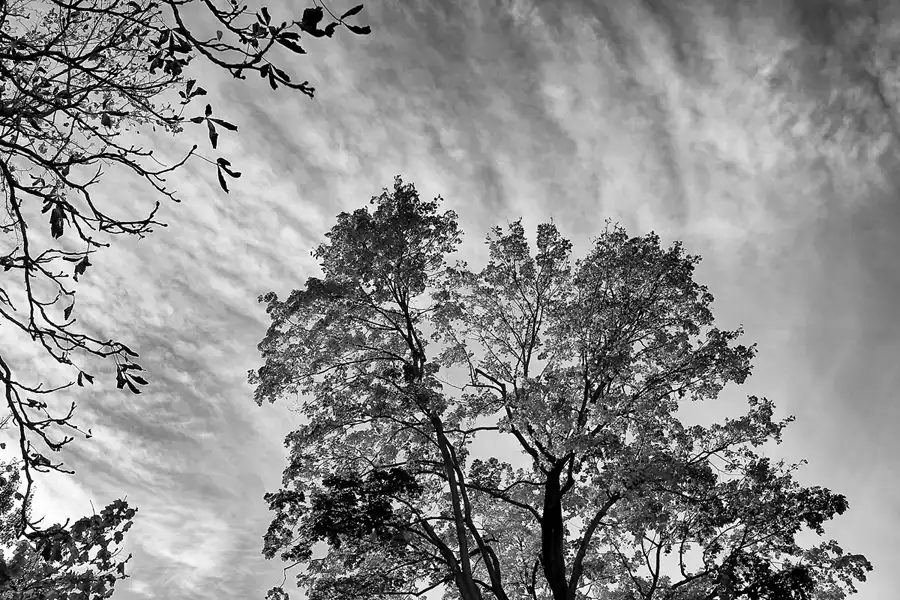 088 | 2021 | Berlin | Degnerstrasse | © carsten riede fotografie