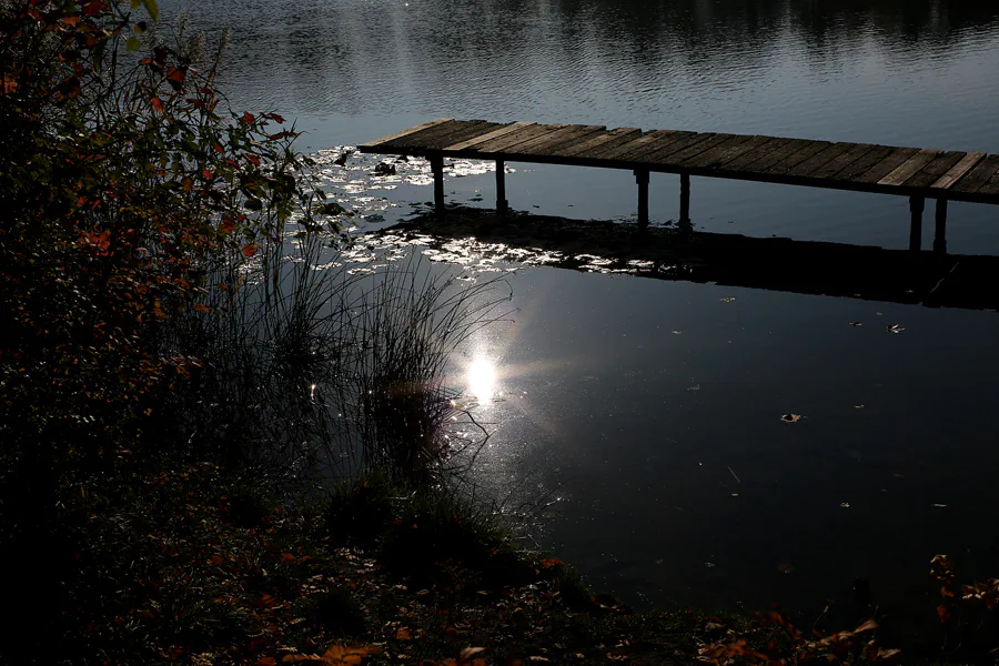 065 | 2021 | Berlin | Obersee-Orankesee-Park | © carsten riede fotografie