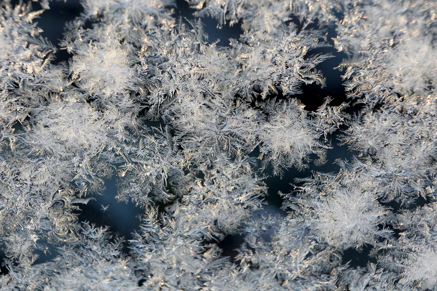 049 | 2021 | Berlin | Ice Crystal– Eiskristalle | © carsten riede fotografie