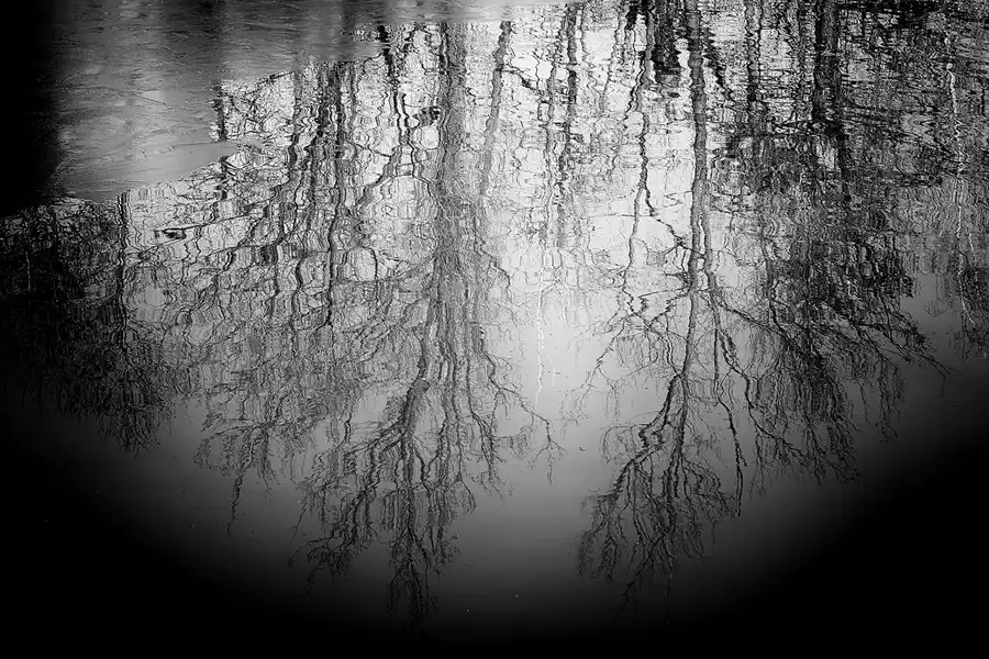 004 | 2022 | Berlin | Obersee-Orankesee-Park | © carsten riede fotografie