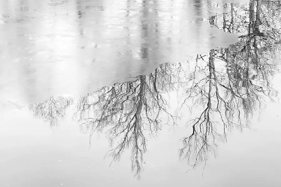 005 | 2022 | Berlin | Obersee-Orankesee-Park | © carsten riede fotografie